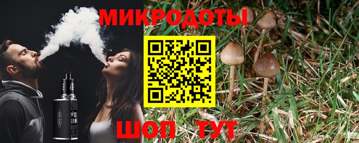 Псилоцибиновые грибы GOLDEN TEACHER Архангельск