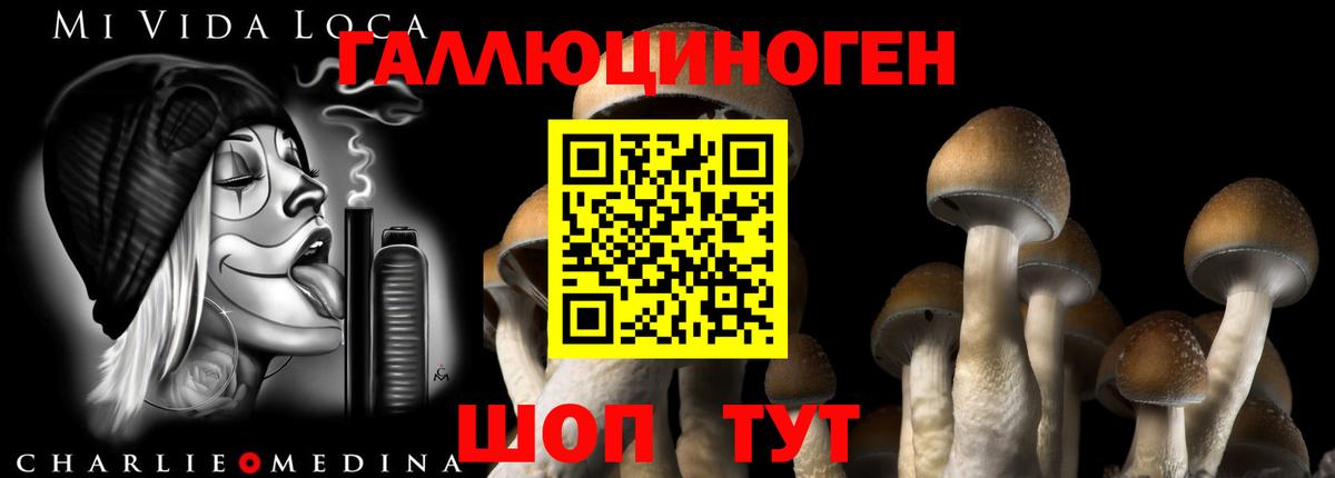 Псилоцибиновые грибы MAGIC MUSHROOMS  Вход с VPN  Архангельск 
